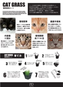 猫草栽培セット