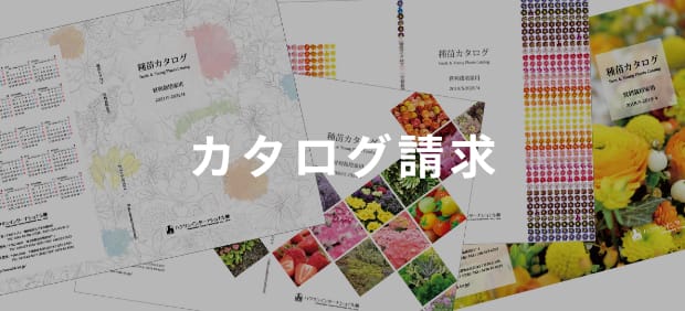 カタログ請求
