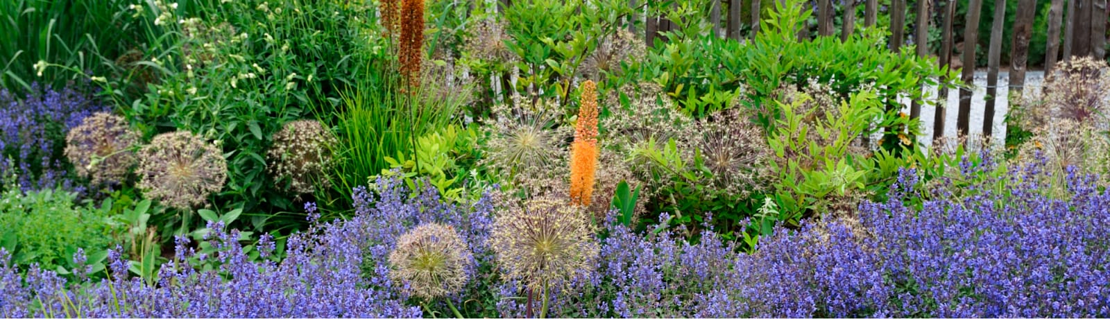 Hakusan International Co.,Ltd