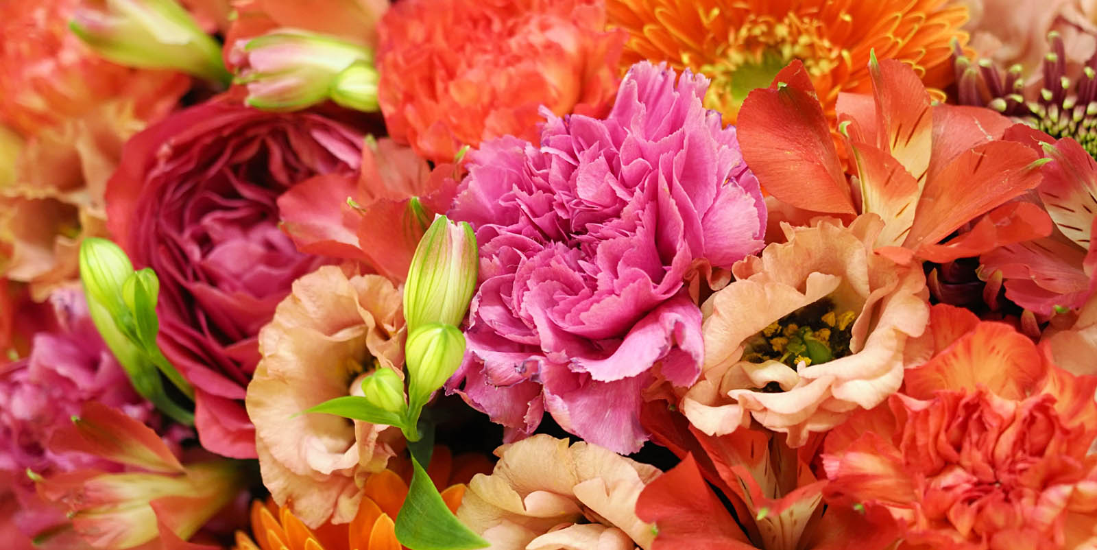 未来アグリス株式会社