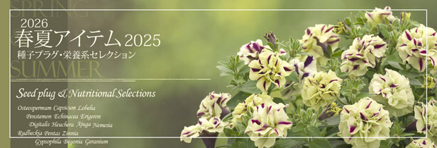 2026春夏向け 種子プラグ&栄養系セレクション2025