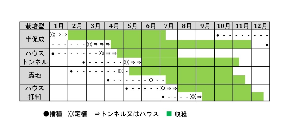 ラベルイメージ