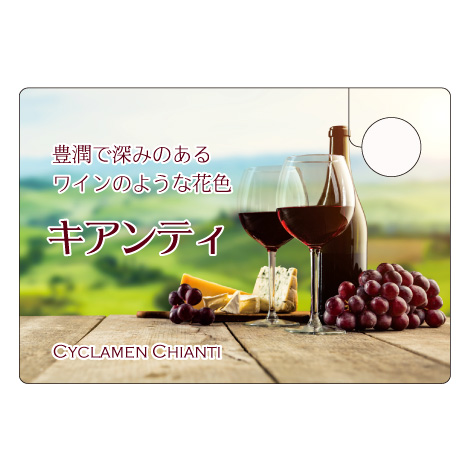 ラベルイメージ