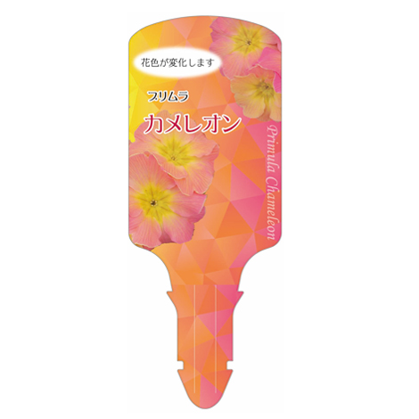 ラベルイメージ