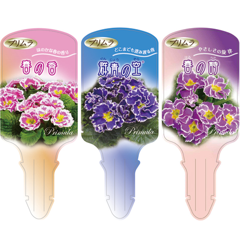 ラベルイメージ