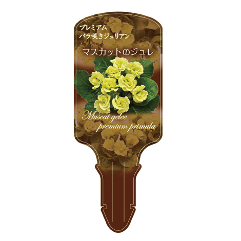 ラベルイメージ