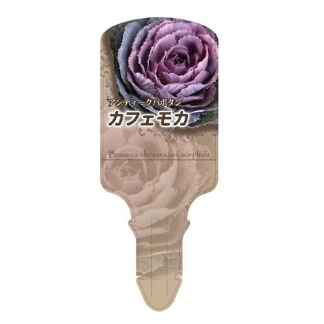 ラベルイメージ