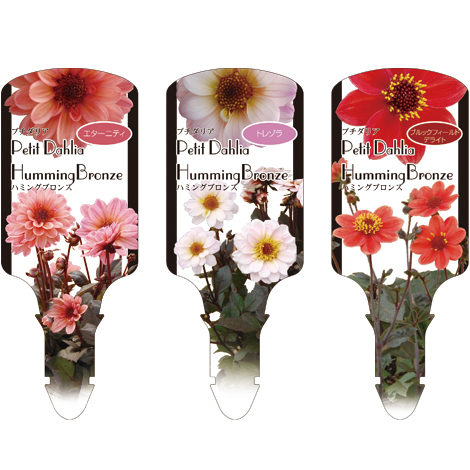 ラベルイメージ