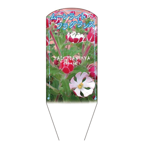 ラベルイメージ