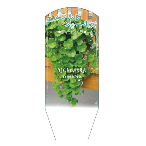 ラベルイメージ