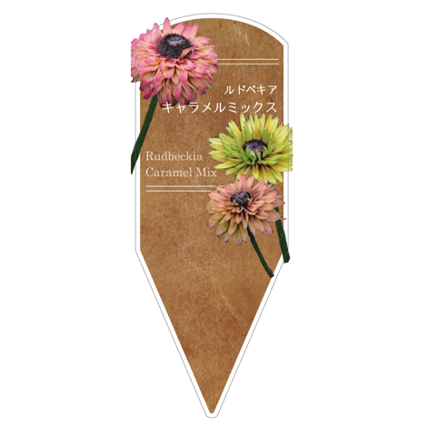 ラベルイメージ