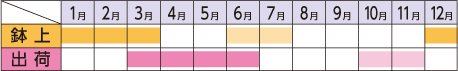 ラベルイメージ