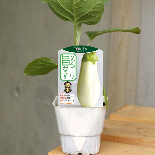 ラベルイメージ