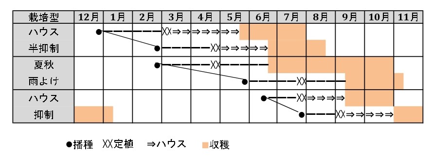 ラベルイメージ