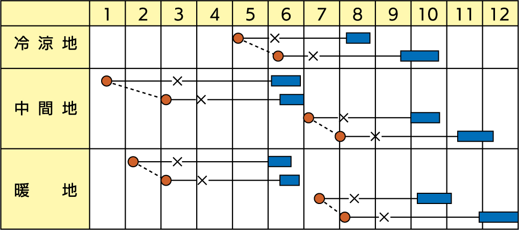 ラベルイメージ
