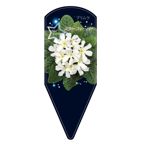 ラベルイメージ