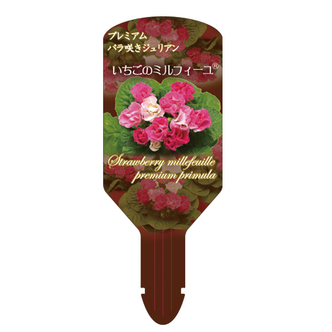 ラベルイメージ