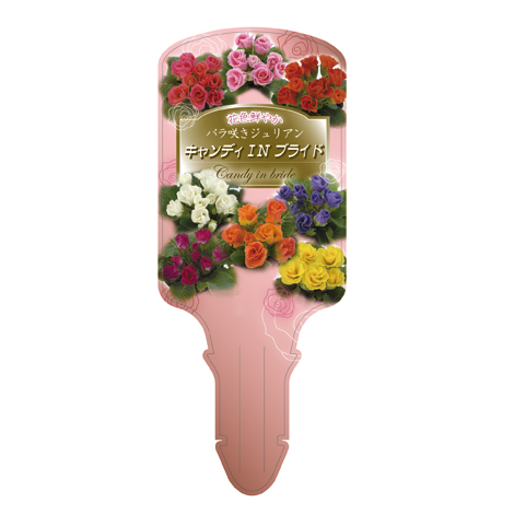 ラベルイメージ