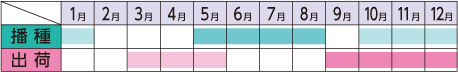 ラベルイメージ