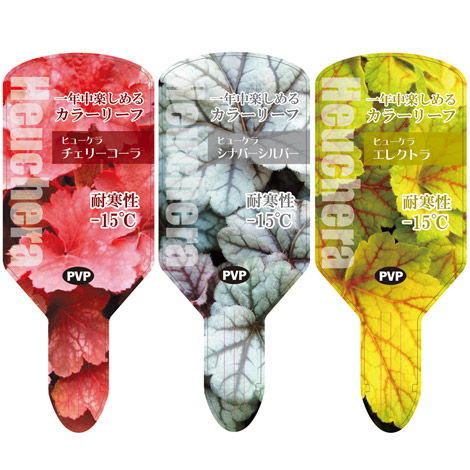 ラベルイメージ