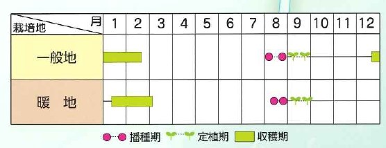 ラベルイメージ