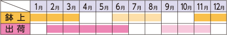 ラベルイメージ