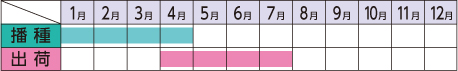 ラベルイメージ