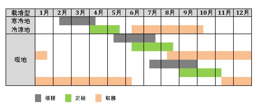 ラベルイメージ