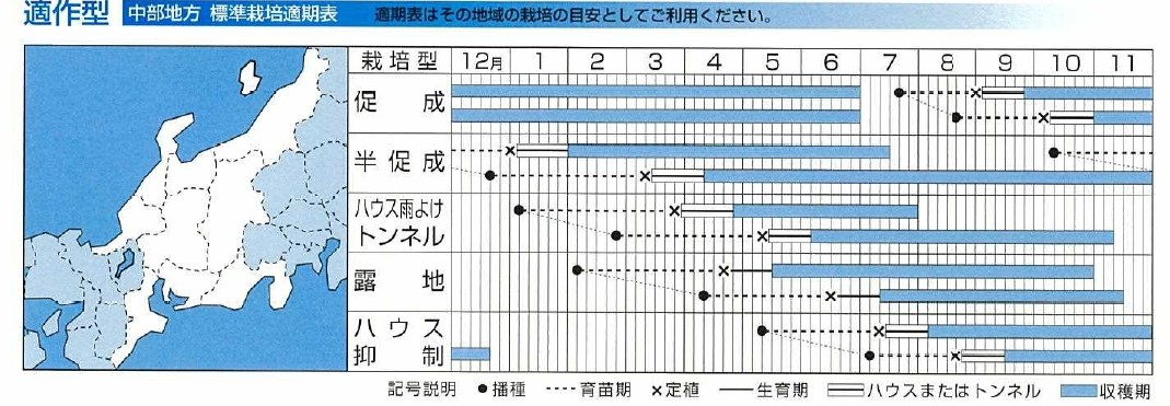 ラベルイメージ