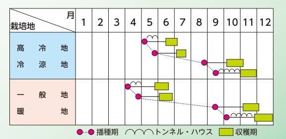 ラベルイメージ