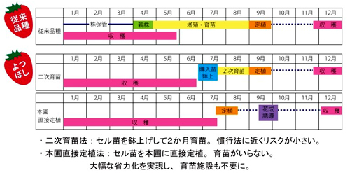 ラベルイメージ