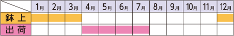 ラベルイメージ