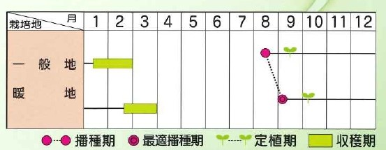 ラベルイメージ