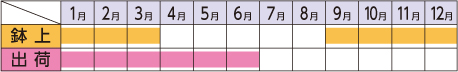ラベルイメージ