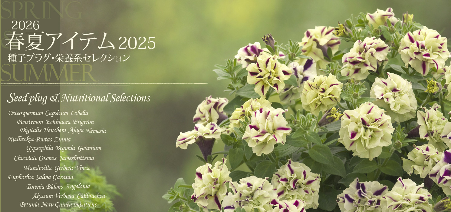 2026春夏向け 種子プラグ＆栄養系セレクション2025