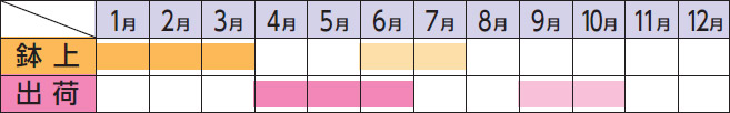 ラベルイメージ