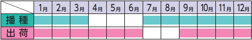 ラベルイメージ