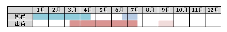 ラベルイメージ