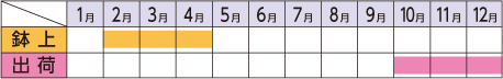 ラベルイメージ