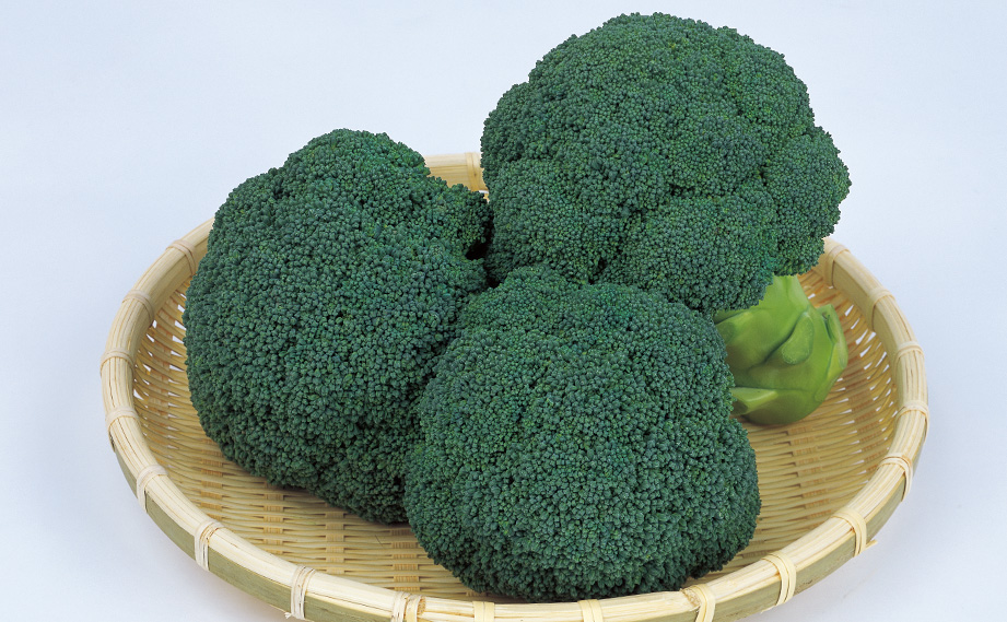 ブロッコリー おはよう｜WEBカタログ｜未来アグリス株式会社|未来