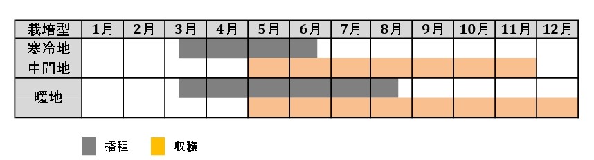 ラベルイメージ