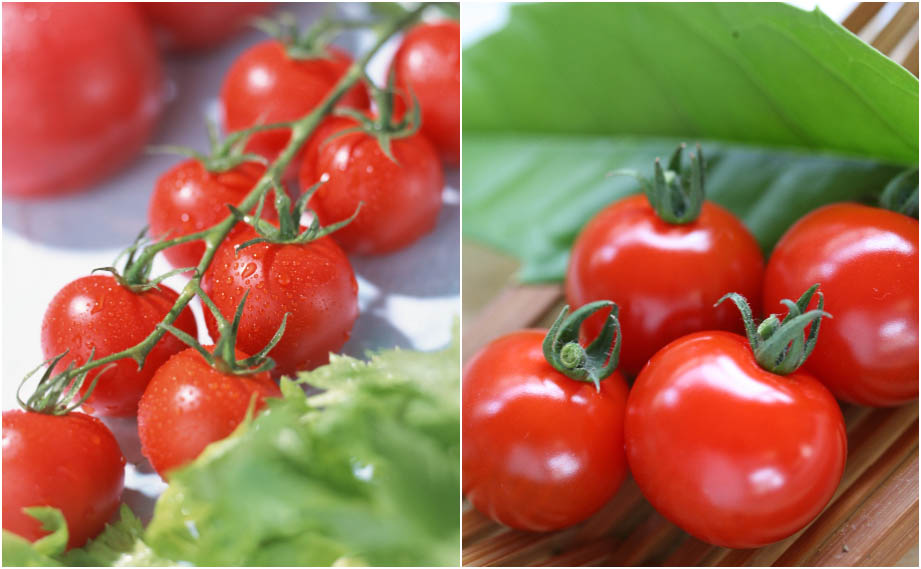 ミニトマト ドルチェレッド｜WEBカタログ｜未来アグリス株式会社|未来