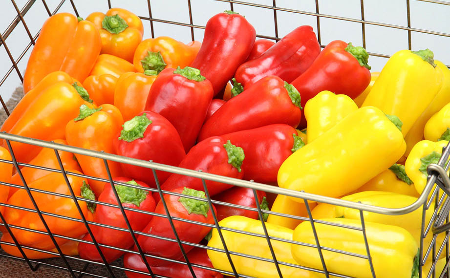 パプリカ カラフルミニパピー｜WEBカタログ｜未来アグリス株式会社