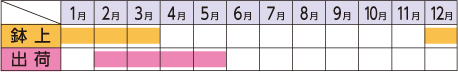 ラベルイメージ