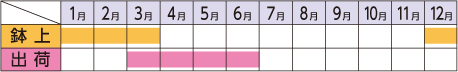 ラベルイメージ