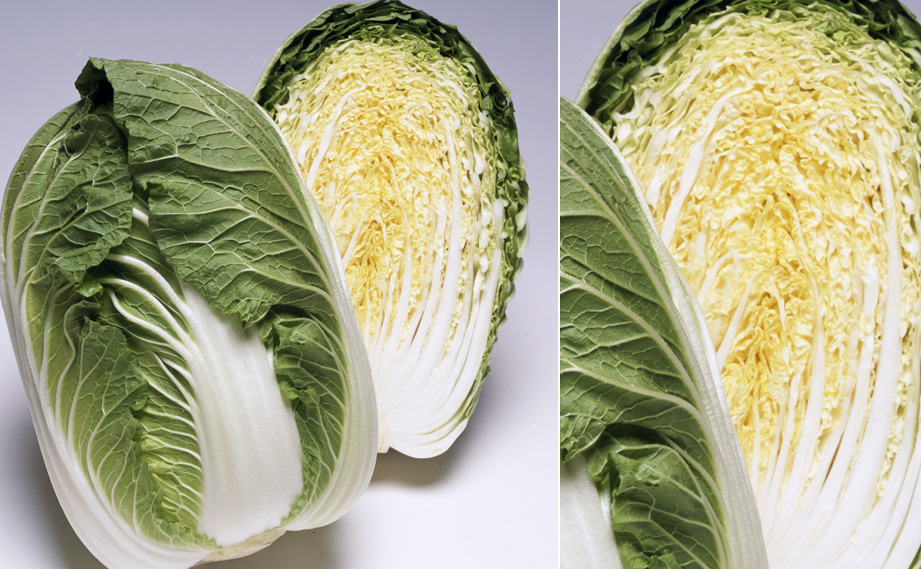 ハクサイ きらぼし90｜WEBカタログ｜未来アグリス株式会社|未来