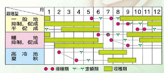 ラベルイメージ