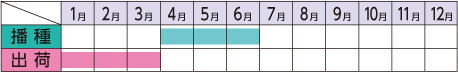 ラベルイメージ