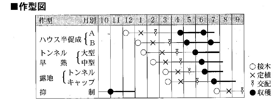 ラベルイメージ