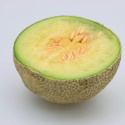 メロン F1 メロリーナ